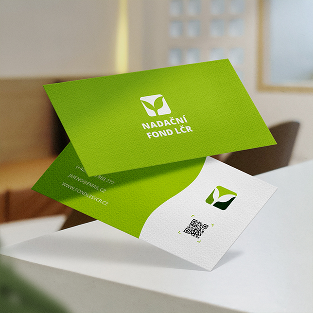 casestudy lesycr 006